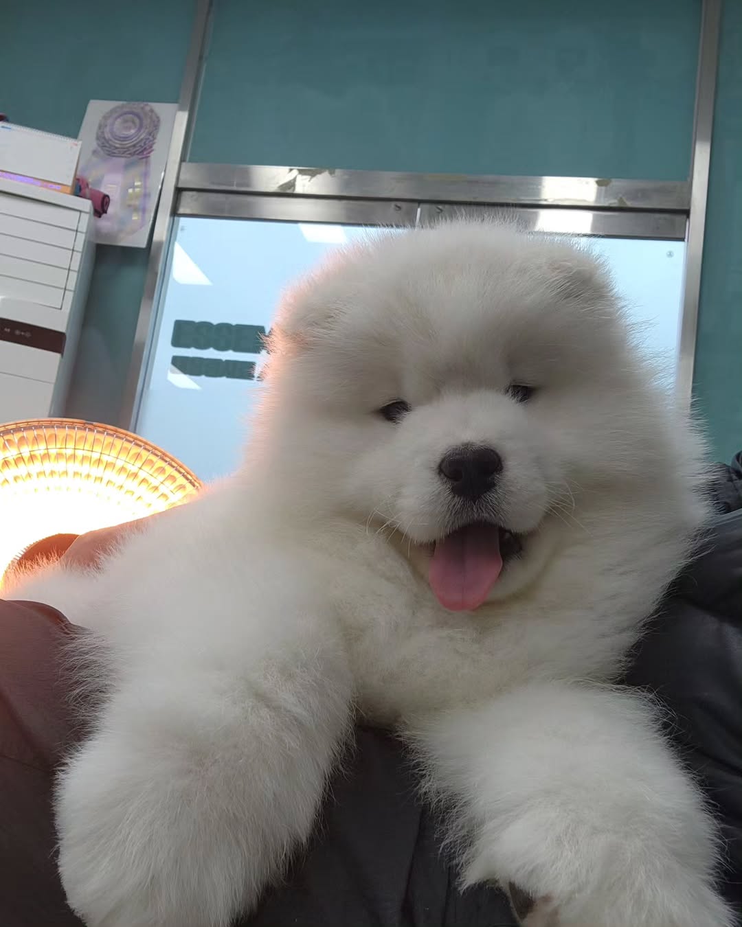 에쌤